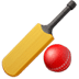 :cricket_bat_and_ball: