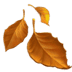 fallen_leaf
