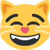 :grinning_cat_with_smiling_eyes: :grinning_cat_with_smiling_eyes:
