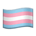 :transgender_flag: