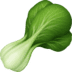 :leafy_green: