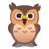 :owl: