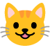 :smiley_cat: