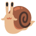 snail