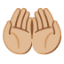 :palms_up_together:t3: