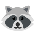 :raccoon: