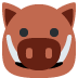 boar