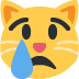 :crying_cat: