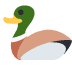 :duck: