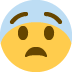 :fearful_face: