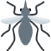 mosquito