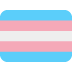 transgender_flag
