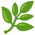 :herb: :herb: