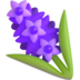 :hyacinth: